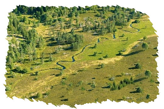 La sogne d'Auvers telle qu'elle tait en 1767