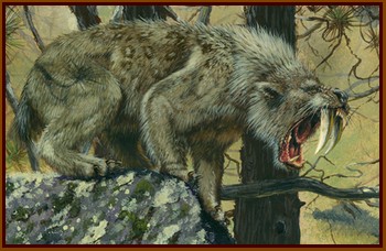 Le smilodon