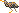 Puce bte du Ramel