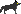 Puce loup des Chazes
