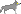 Puce loup